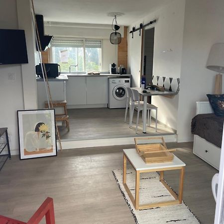 Studio A 15 Mn De Toulouse A Castelginest Exterior photo