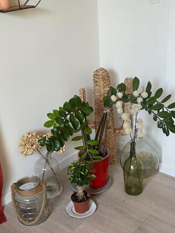 Studio A 15 Mn De Toulouse A Castelginest Exterior photo